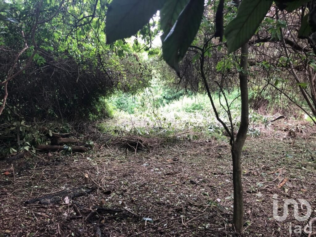 TERRENO DE 1,056M2 EN AHUATEPEC CON ESCRITURAS.