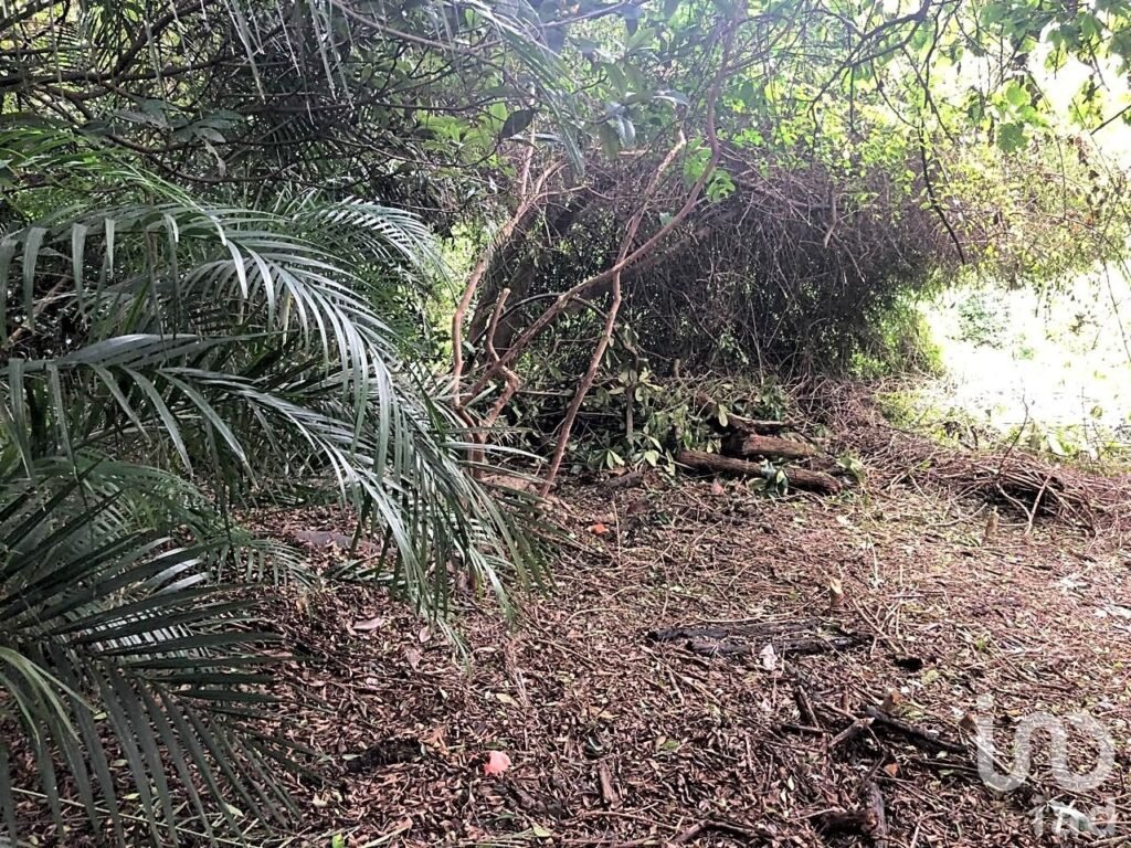 TERRENO DE 1,056M2 EN AHUATEPEC CON ESCRITURAS.