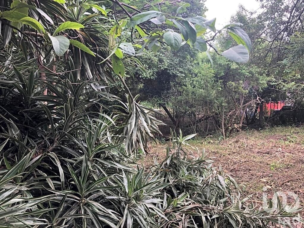 TERRENO DE 1,056M2 EN AHUATEPEC CON ESCRITURAS.