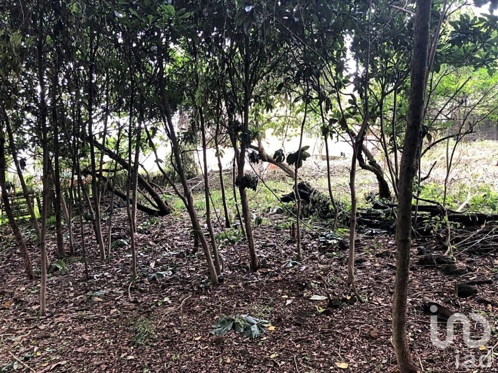 TERRENO DE 1,056M2 EN AHUATEPEC CON ESCRITURAS.