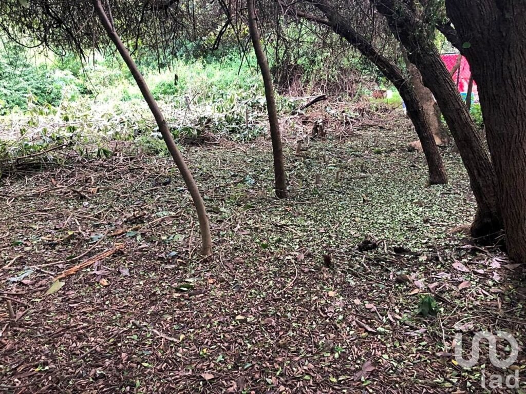 TERRENO DE 1,056M2 EN AHUATEPEC CON ESCRITURAS.