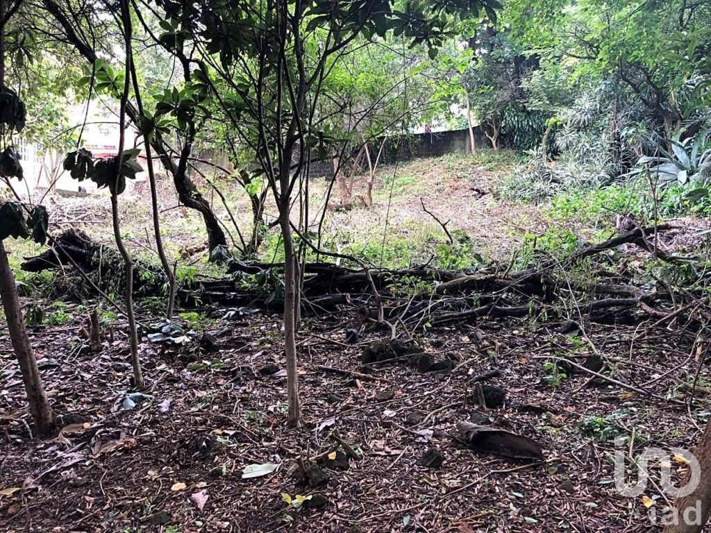 TERRENO DE 1,056M2 EN AHUATEPEC CON ESCRITURAS.