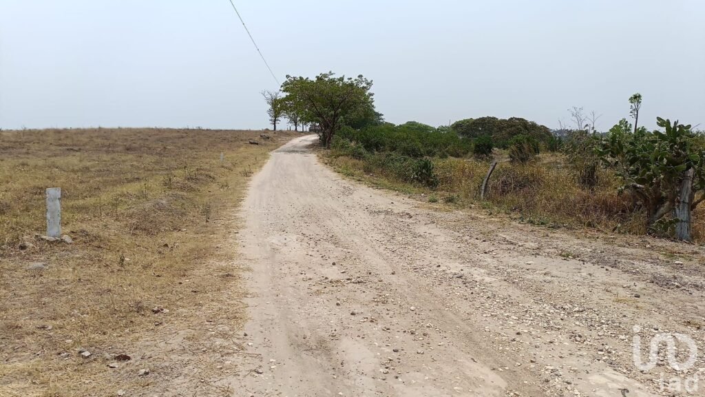 PREDIO RÚSTICO EN VENTA EN LOS TOLENTINOS, LOCALIDAD DE LA AURORA, MUNICIPIO EMILIANO ZAPATA, VER.