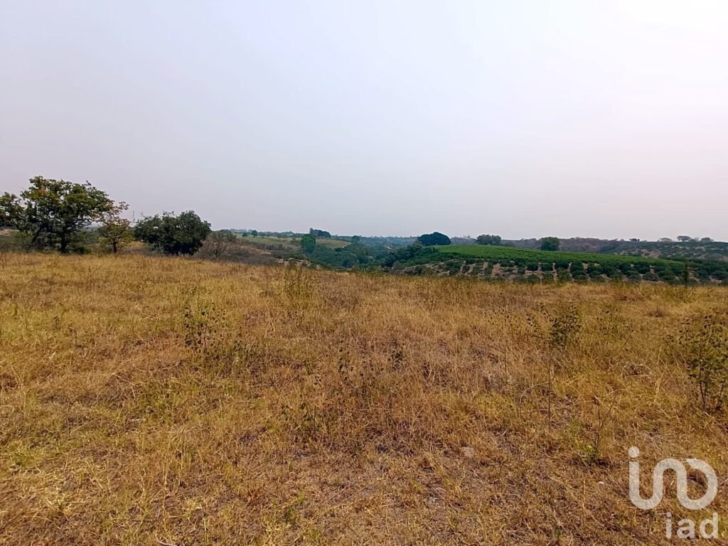 PREDIO RÚSTICO EN VENTA EN LOS TOLENTINOS, LOCALIDAD DE LA AURORA, MUNICIPIO EMILIANO ZAPATA, VER.
