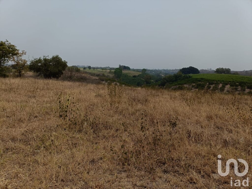PREDIO RÚSTICO EN VENTA EN LOS TOLENTINOS, LOCALIDAD DE LA AURORA, MUNICIPIO EMILIANO ZAPATA, VER.