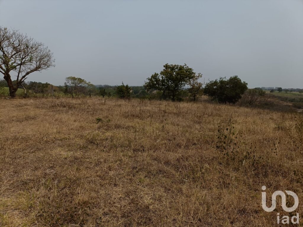 PREDIO RÚSTICO EN VENTA EN LOS TOLENTINOS, LOCALIDAD DE LA AURORA, MUNICIPIO EMILIANO ZAPATA, VER.