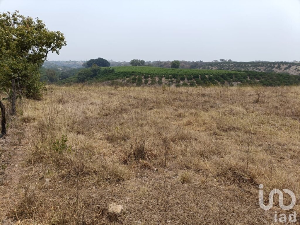 PREDIO RÚSTICO EN VENTA EN LOS TOLENTINOS, LOCALIDAD DE LA AURORA, MUNICIPIO EMILIANO ZAPATA, VER.