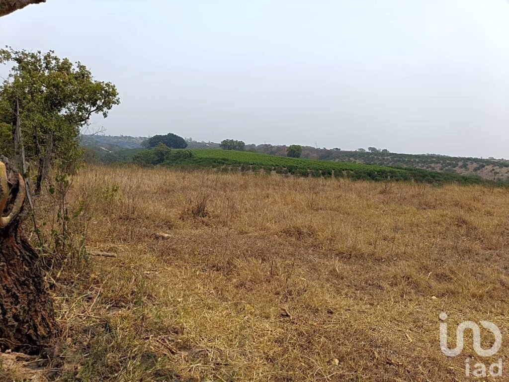 PREDIO RÚSTICO EN VENTA EN LOS TOLENTINOS, LOCALIDAD DE LA AURORA, MUNICIPIO EMILIANO ZAPATA, VER.