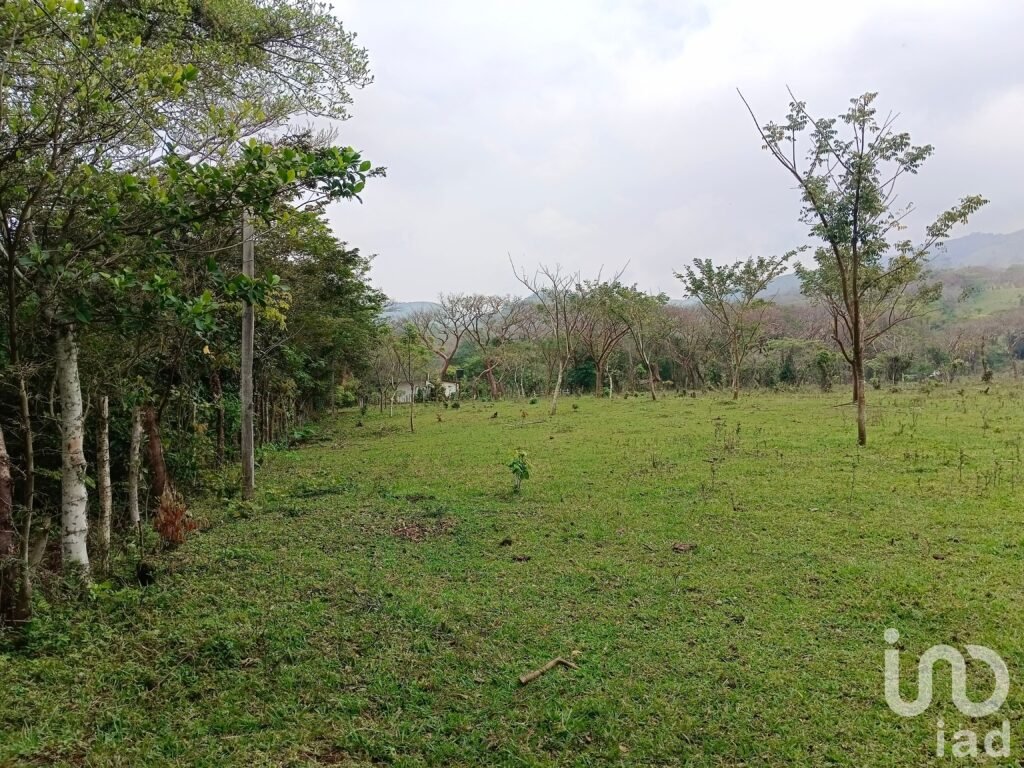 Terreno en venta en Tebanca Catemaco, Veracruz