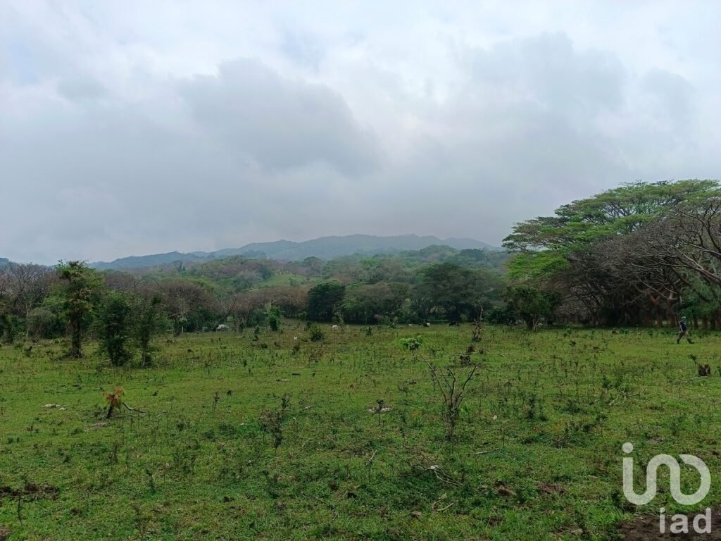 Terreno en venta en Tebanca Catemaco, Veracruz