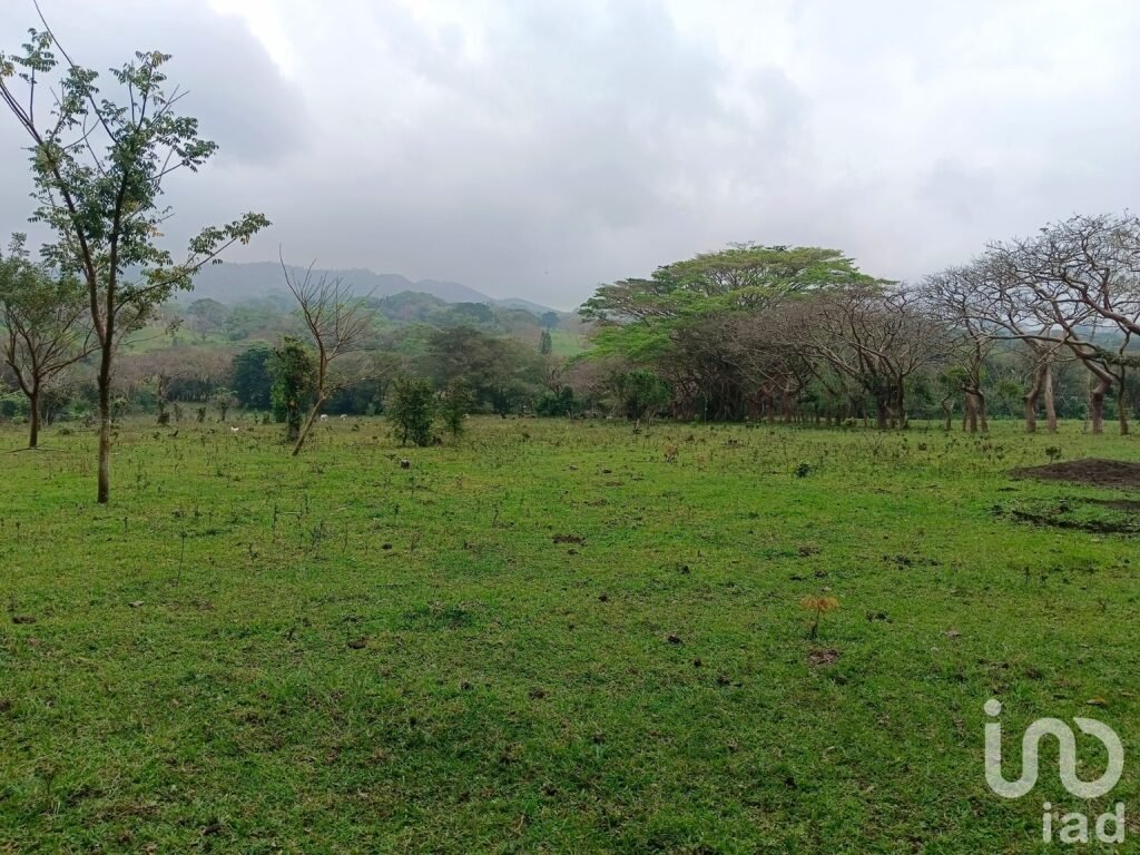 Terreno en venta en Tebanca Catemaco, Veracruz