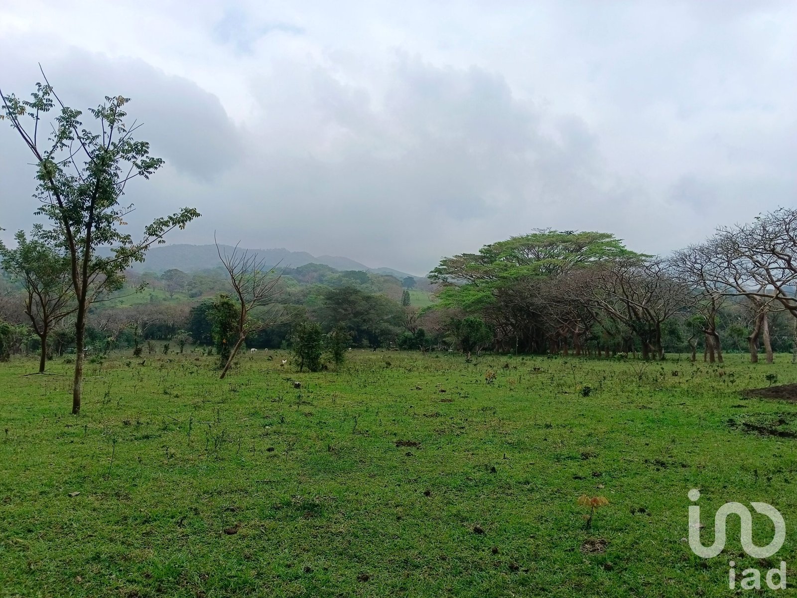 Terreno en venta en Tebanca Catemaco, Veracruz