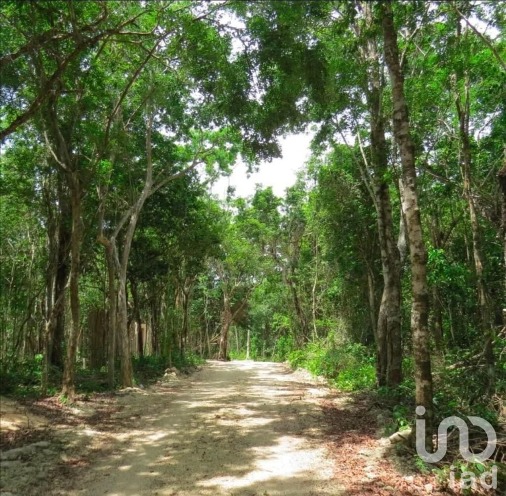 SE VENDE TERRENO EN ALDEA CORAL CHEMUYIL, QUINTANA ROO