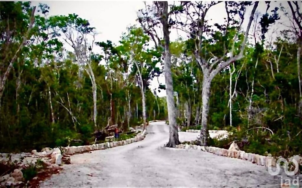 SE VENDE TERRENO EN ALDEA CORAL CHEMUYIL, QUINTANA ROO