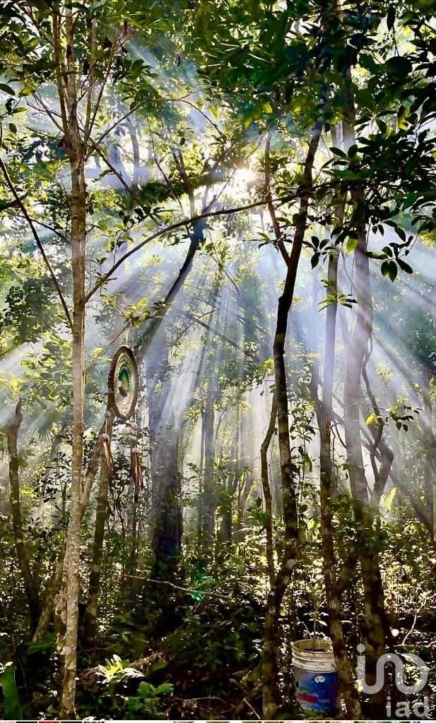 SE VENDE TERRENO EN ALDEA CORAL CHEMUYIL, QUINTANA ROO