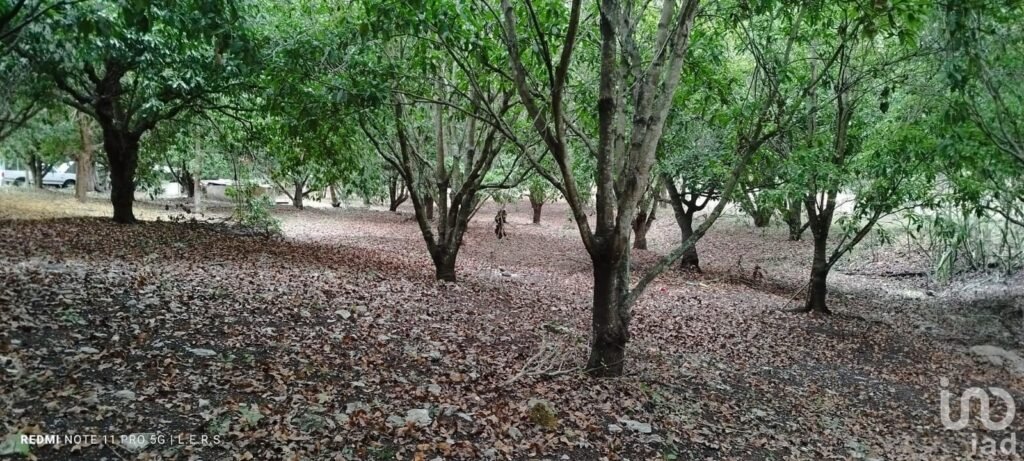 Venta de terreno en carretera federal la bocana Actopan, Veracruz.