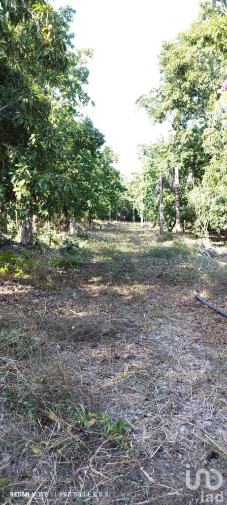 Venta de terreno en carretera federal la bocana Actopan, Veracruz.