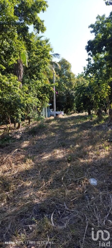 Venta de terreno en carretera federal la bocana Actopan, Veracruz.