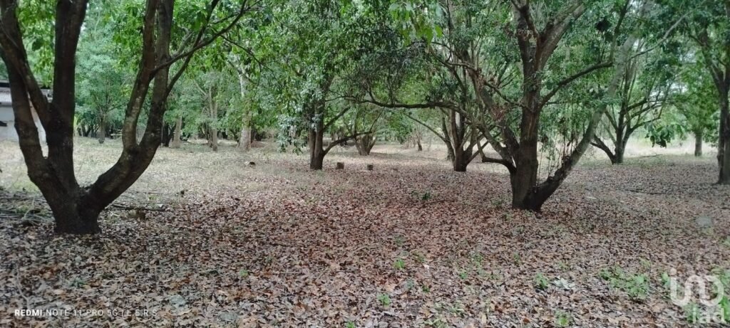 Venta de terreno en carretera federal la bocana Actopan, Veracruz.