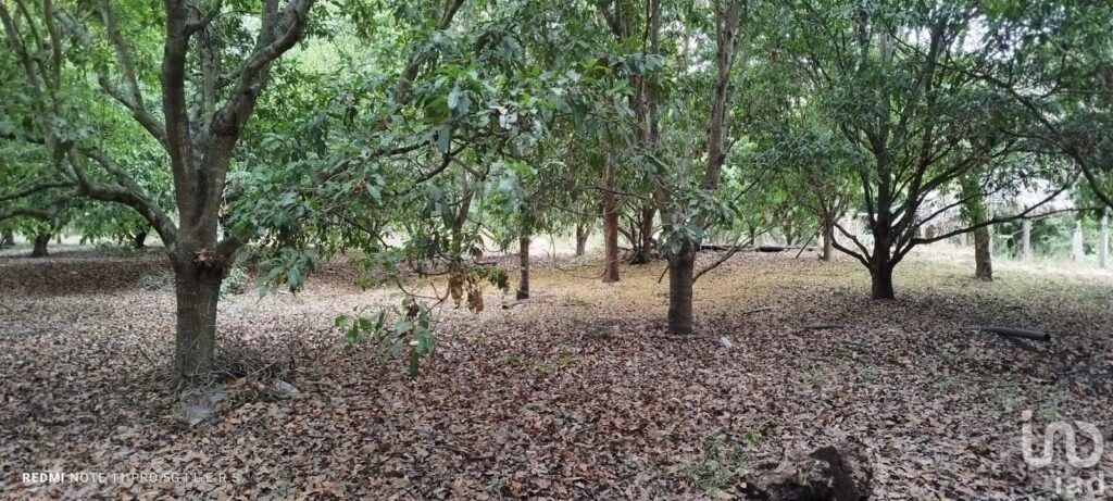 Venta de terreno en carretera federal la bocana Actopan, Veracruz.