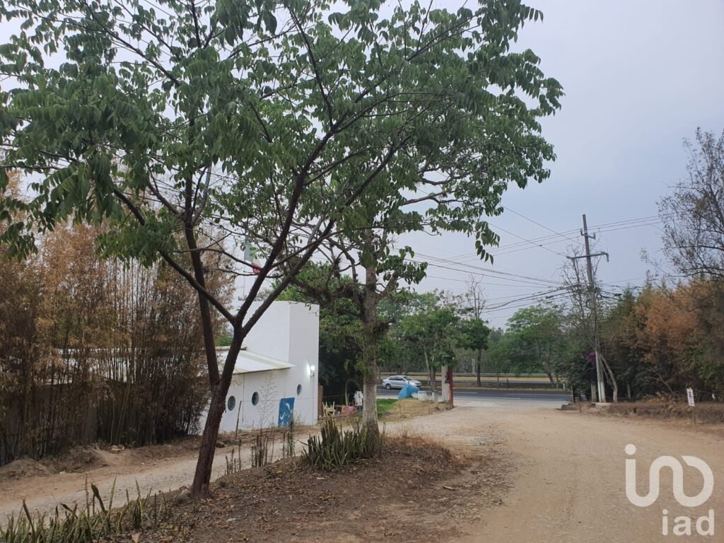 Venta de terreno campestre en San Lorenzo en Xalapa Veracruz.