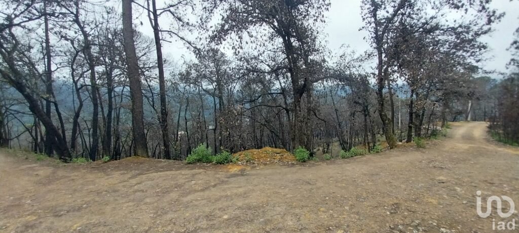 Se vende terreno en el  Pueblo Mágico, Mineral del Chico, Hidalgo