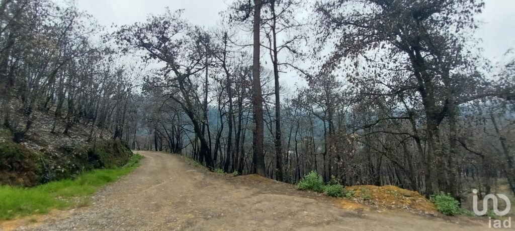 Se vende terreno en el  Pueblo Mágico, Mineral del Chico, Hidalgo
