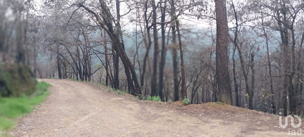 Se vende terreno en el  Pueblo Mágico, Mineral del Chico, Hidalgo