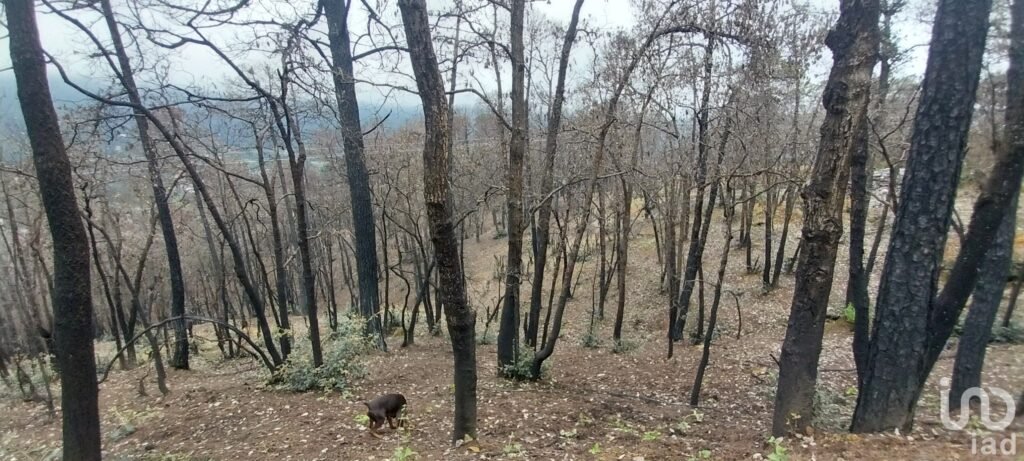 Se vende terreno en el  Pueblo Mágico, Mineral del Chico, Hidalgo