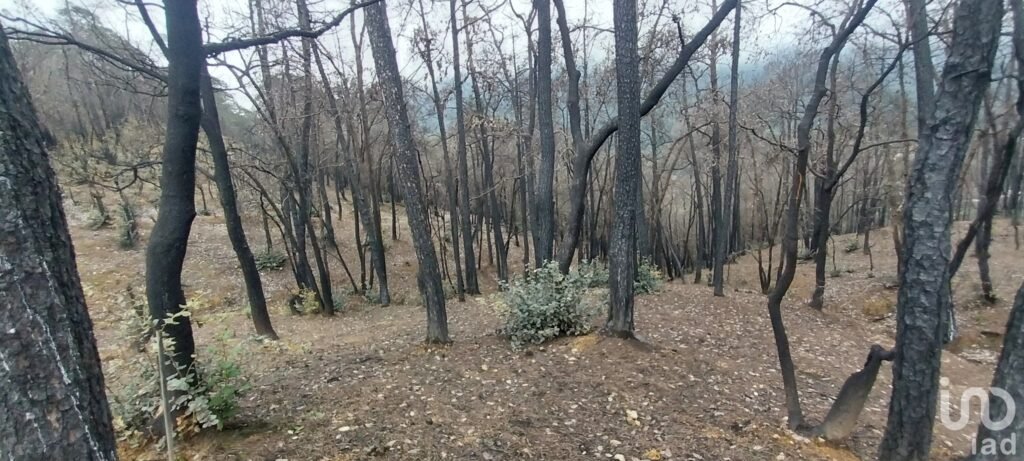 Se vende terreno en el  Pueblo Mágico, Mineral del Chico, Hidalgo