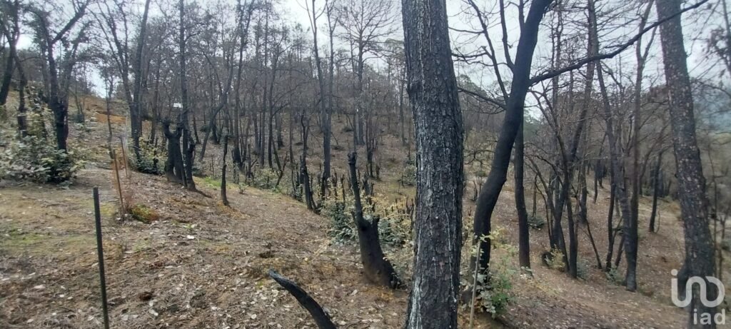 Se vende terreno en el  Pueblo Mágico, Mineral del Chico, Hidalgo