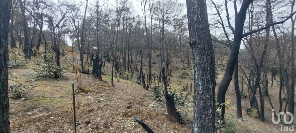 Se vende terreno en el  Pueblo Mágico, Mineral del Chico, Hidalgo