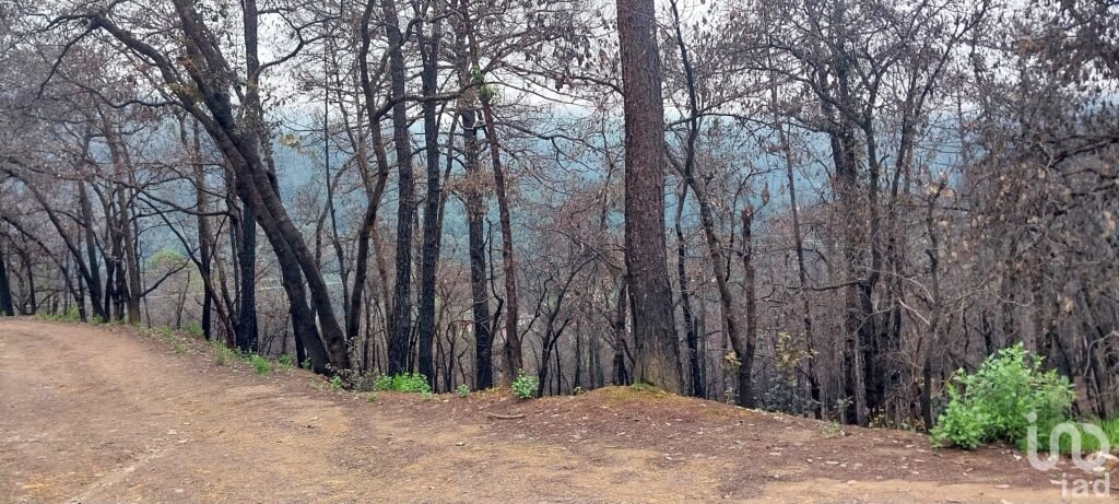 Se vende terreno en el  Pueblo Mágico, Mineral del Chico, Hidalgo