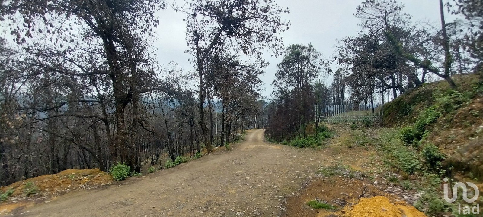Se vende terreno en el  Pueblo Mágico, Mineral del Chico, Hidalgo