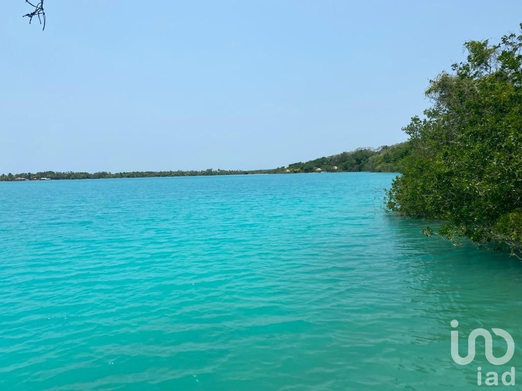venta terrenos bacalar quintana roo cerca tren maya