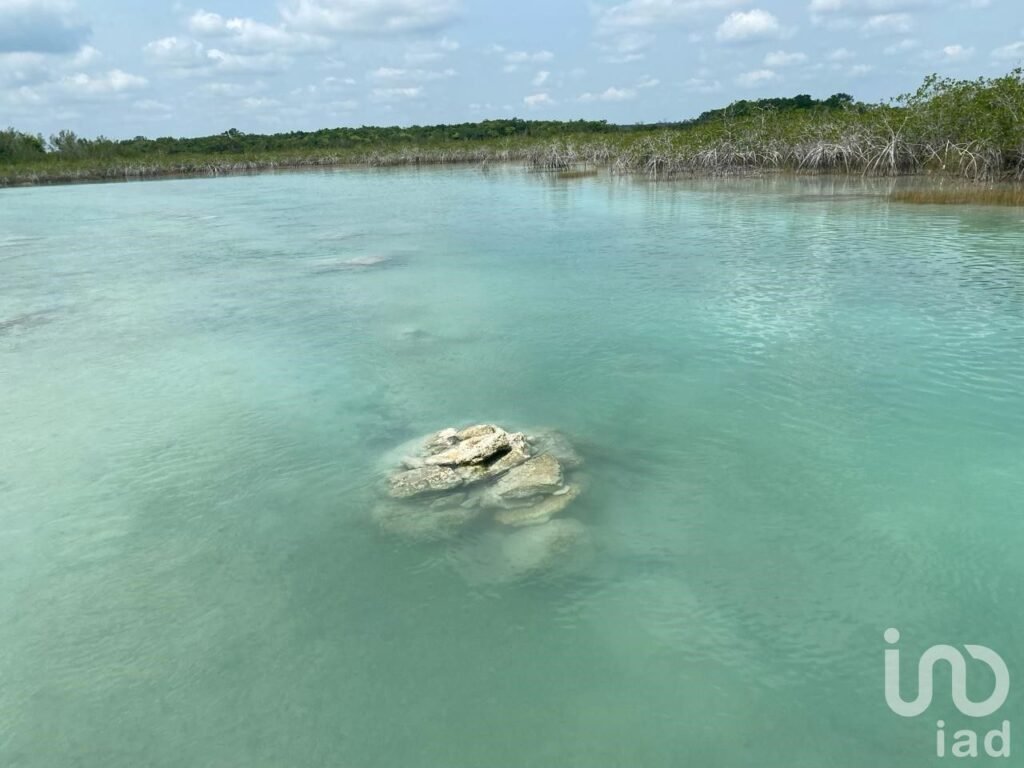 venta terrenos bacalar quintana roo cerca tren maya