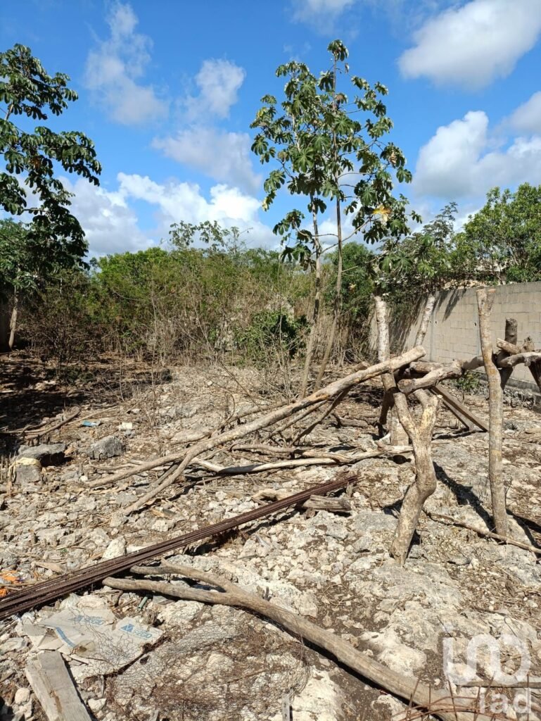 TERRENO EN VENTA DE 8X20, EJIDO ISLA MUJERES, CANCÚN, Q. ROO