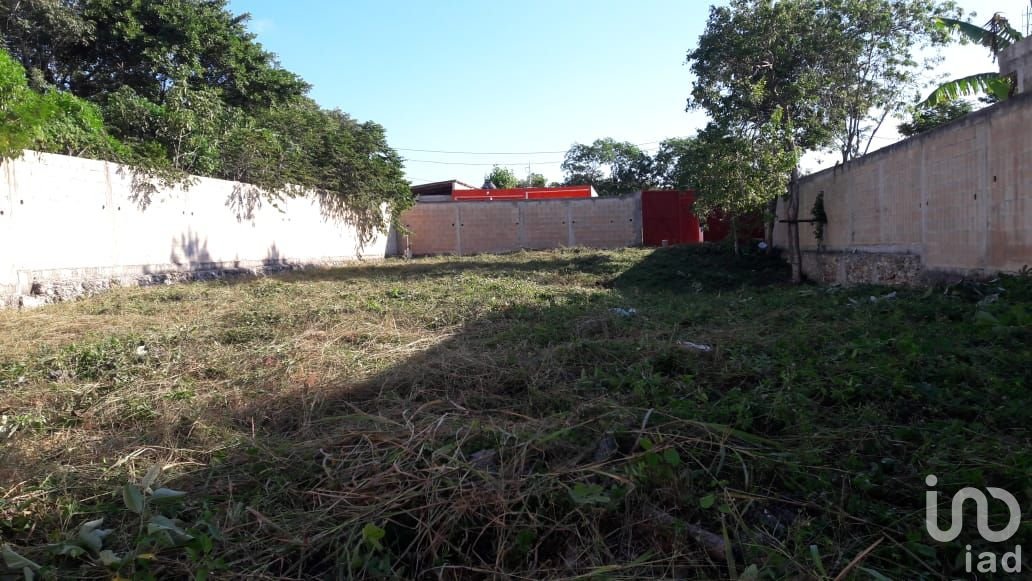 TERRENO EN VENTA DE 8X20, EJIDO ISLA MUJERES, CANCÚN, Q. ROO