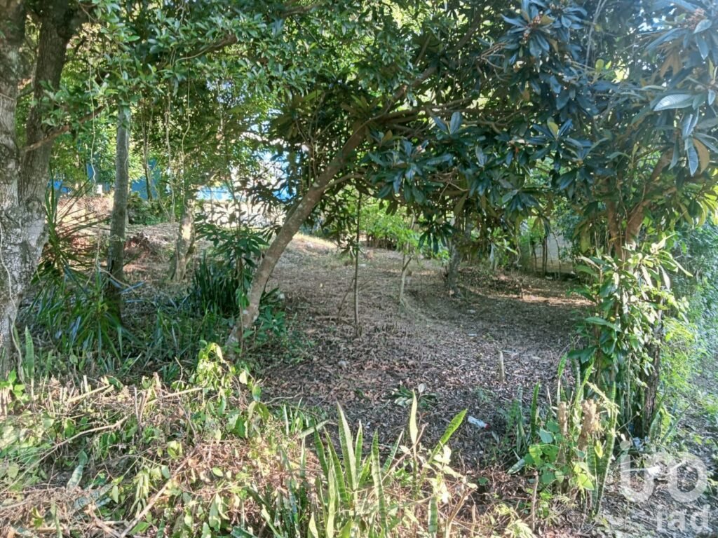 TERRENO EN VENTA SALIDA DE POZA RICA