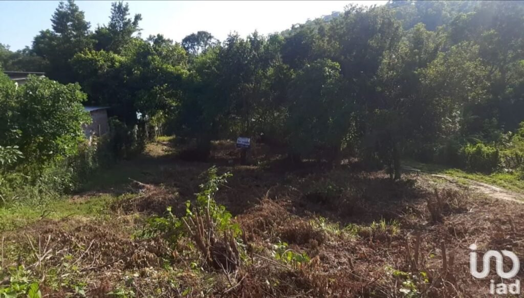 TERRENO EN VENTA SALIDA DE POZA RICA