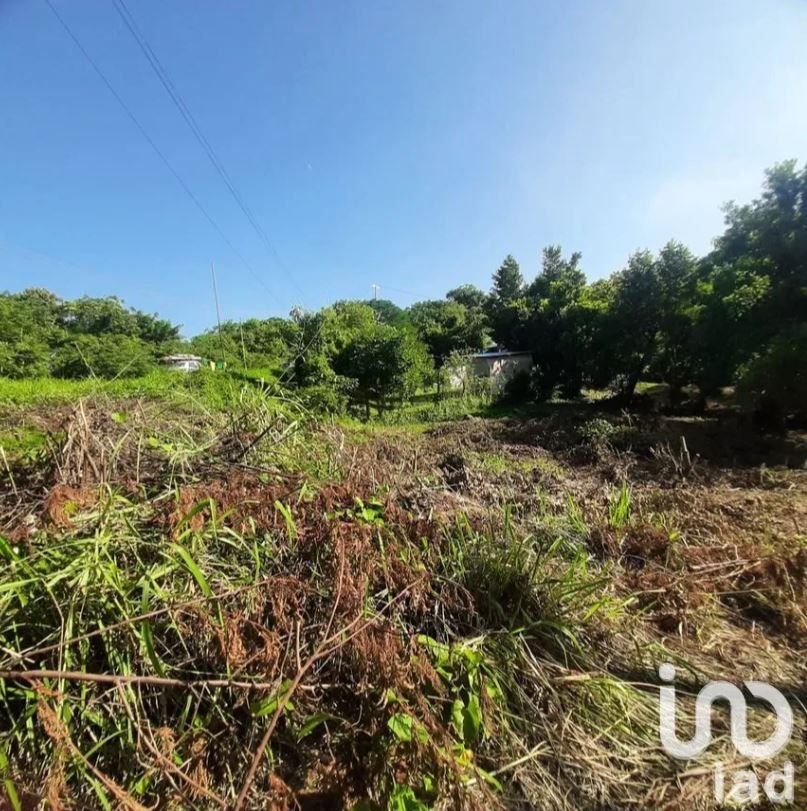 TERRENO EN VENTA SALIDA DE POZA RICA