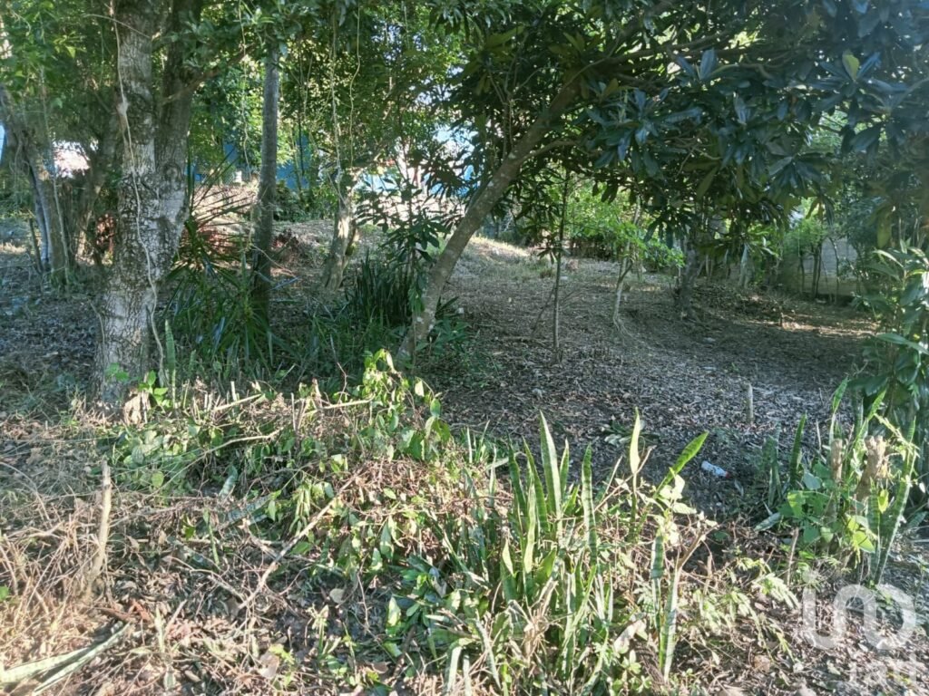 TERRENO EN VENTA SALIDA DE POZA RICA