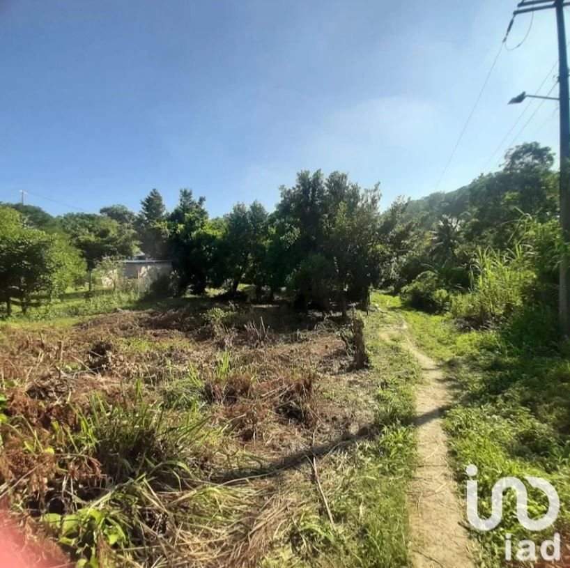 TERRENO EN VENTA SALIDA DE POZA RICA