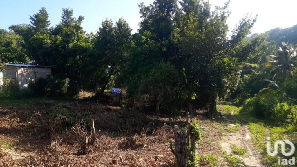 TERRENO EN VENTA SALIDA DE POZA RICA
