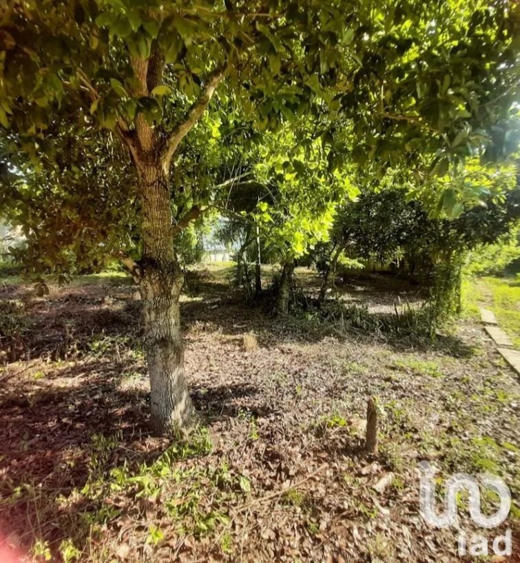 TERRENO EN VENTA SALIDA DE POZA RICA