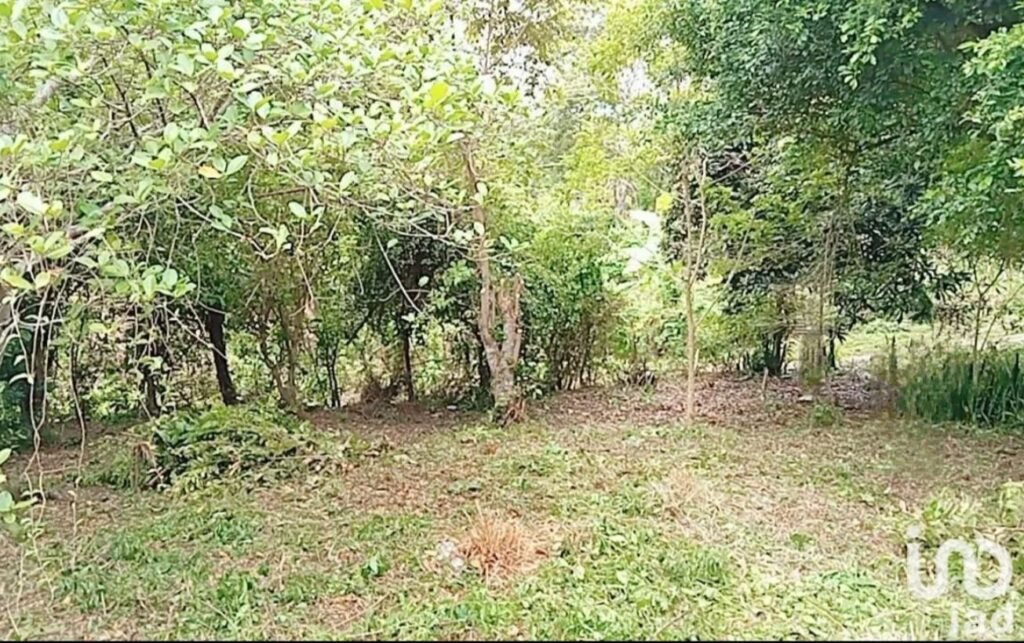 TERRENO EN VENTA SALIDA DE POZA RICA