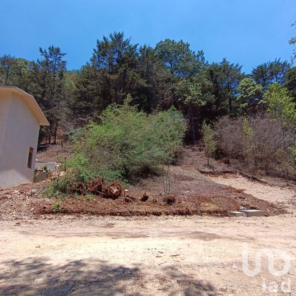 Terreno en venta, San Nicolás, San Cristóbal de las Casas, Chiapas