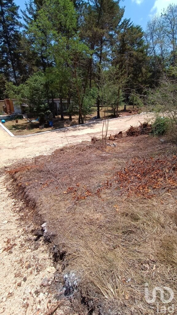Terreno en venta, San Nicolás, San Cristóbal de las Casas, Chiapas