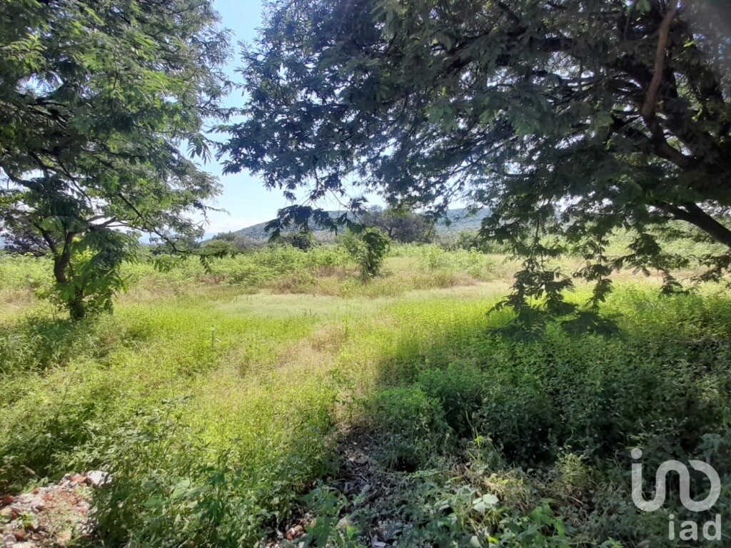 Terreno residencial en Venta Morelos