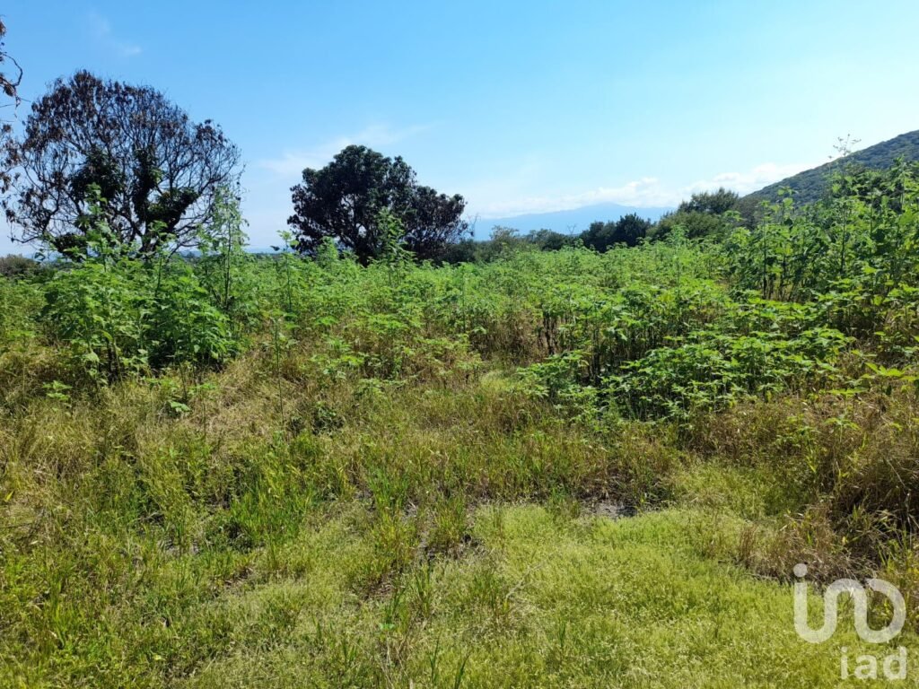 Terreno residencial en Venta Morelos